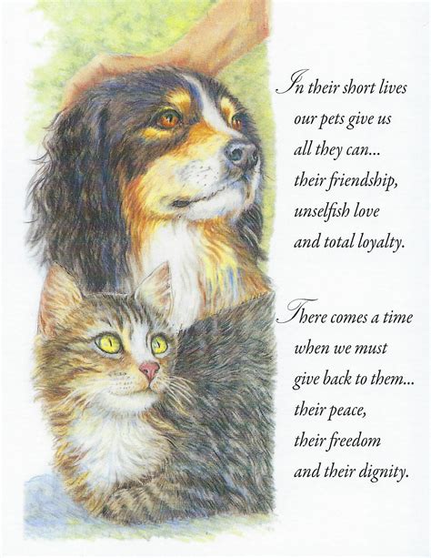 Veterinary Sympathy Card Messages: Condolences